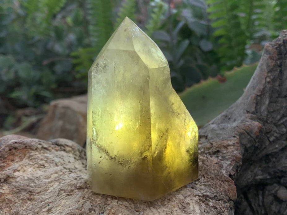 Polished Rare Smokey Citrine Twin Quartz Crystal x 1 From Madagascar