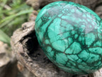 Polished Rare Large Flower Banded Malachite Egg x 1 From Congo