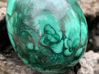Polished Rare Large Flower Banded Malachite Egg x 1 From Congo