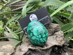 Polished Rare Large Flower Banded Malachite Egg x 1 From Congo
