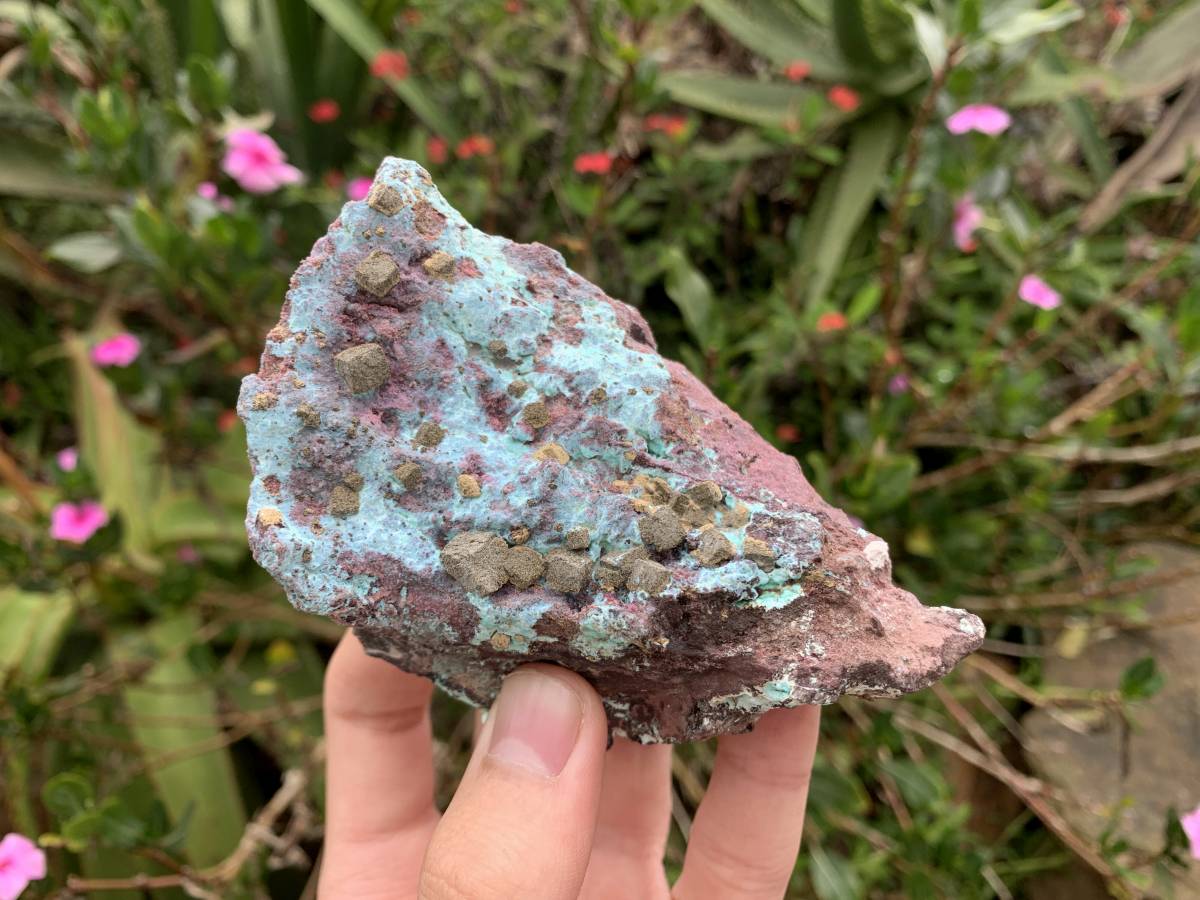 Natural Cubes of Kolwezite Pseudomorph after Malachite on Chrysocolla Coated Cobaltion Dolomite x 1 From Congo