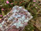 Natural Cubes of Kolwezite Pseudomorph after Malachite on Chrysocolla Coated Cobaltion Dolomite x 1 From Congo