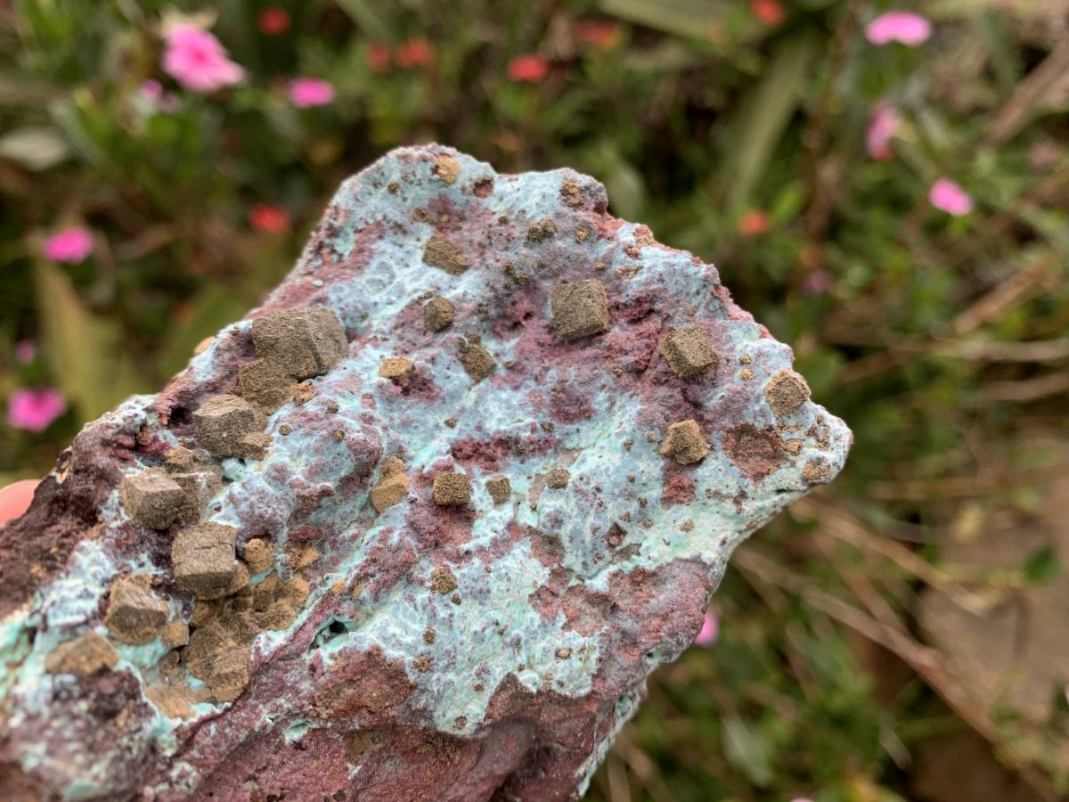 Natural Cubes of Kolwezite Pseudomorph after Malachite on Chrysocolla Coated Cobaltion Dolomite x 1 From Congo