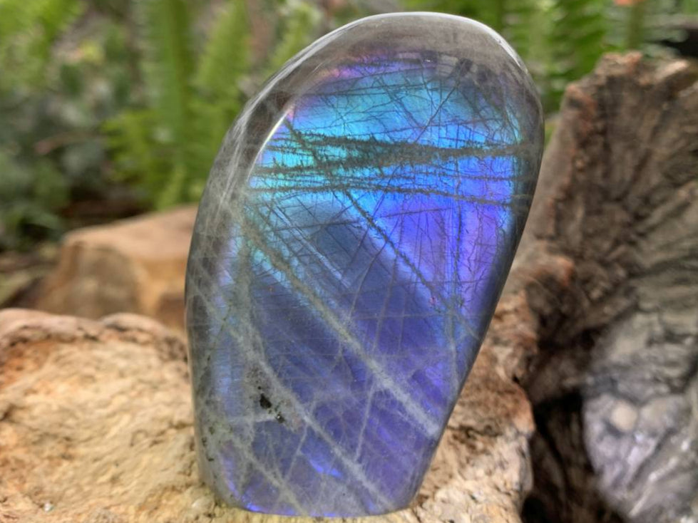 Polished Rare Purple Labradorite Standing Free Form x 1 From Tulear, Madagascar