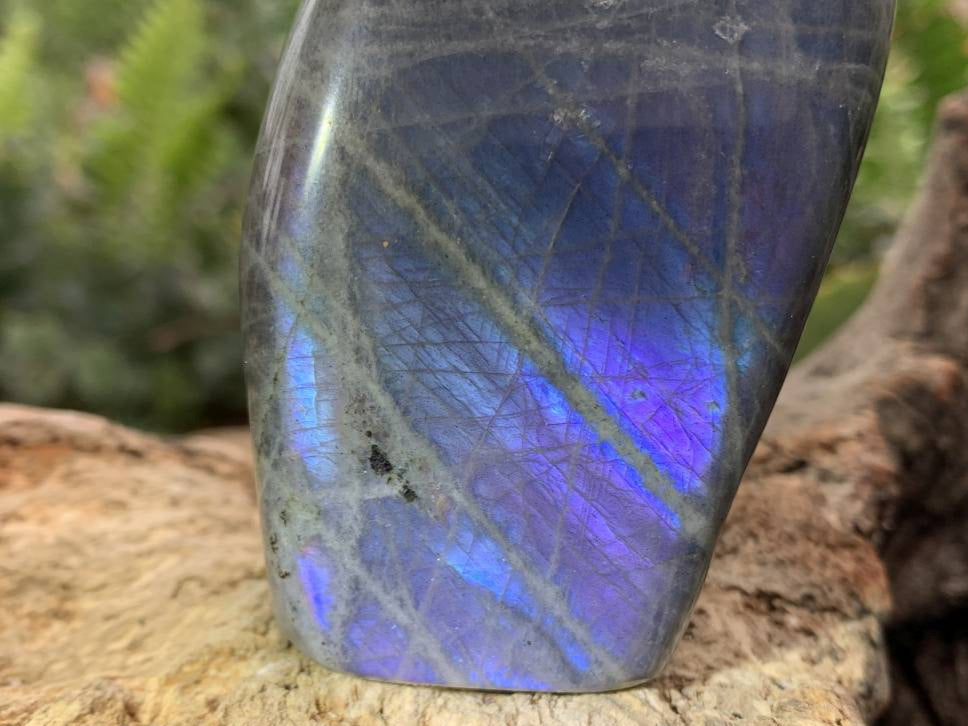 Polished Rare Purple Labradorite Standing Free Form x 1 From Tulear, Madagascar