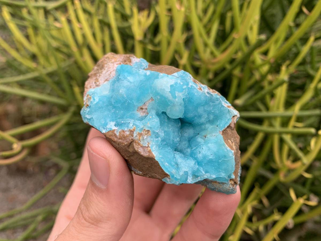 Natural Rare Hemimorphite on Dolomite x 1 From Lupoto Mine, Congo