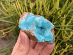 Natural Rare Hemimorphite on Dolomite x 1 From Lupoto Mine, Congo