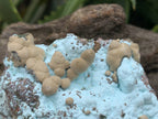 Natural Botryoidal Kolwezite Pseudomorph after Malachite on Chrysocolla Coated Cobaltion Calcite x 1 From Congo