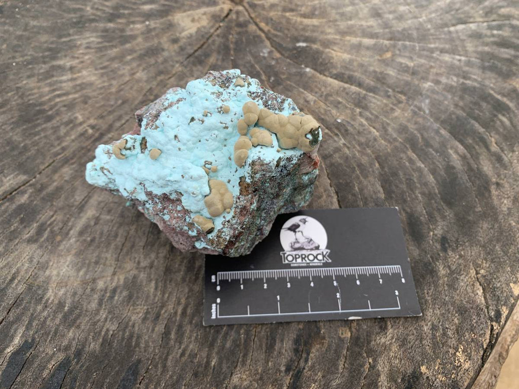 Natural Botryoidal Kolwezite Pseudomorph after Malachite on Chrysocolla Coated Cobaltion Calcite x 1 From Congo
