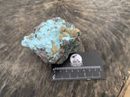 Natural Botryoidal Kolwezite Pseudomorph after Malachite on Chrysocolla Coated Cobaltion Calcite x 1 From Congo