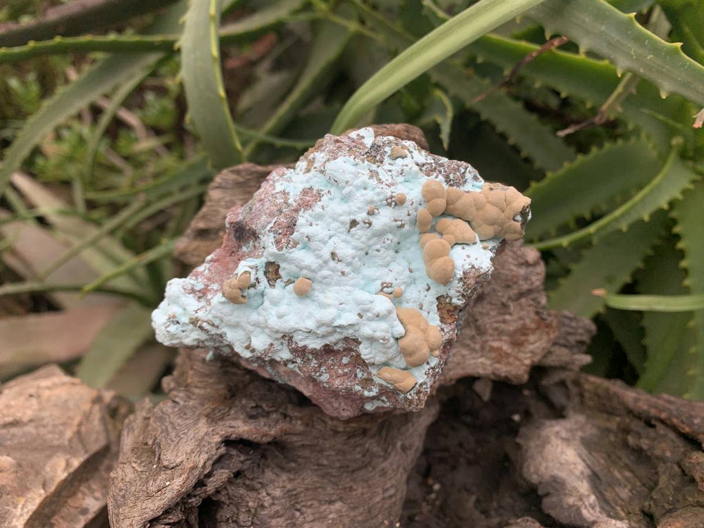 Natural Botryoidal Kolwezite Pseudomorph after Malachite on Chrysocolla Coated Cobaltion Calcite x 1 From Congo
