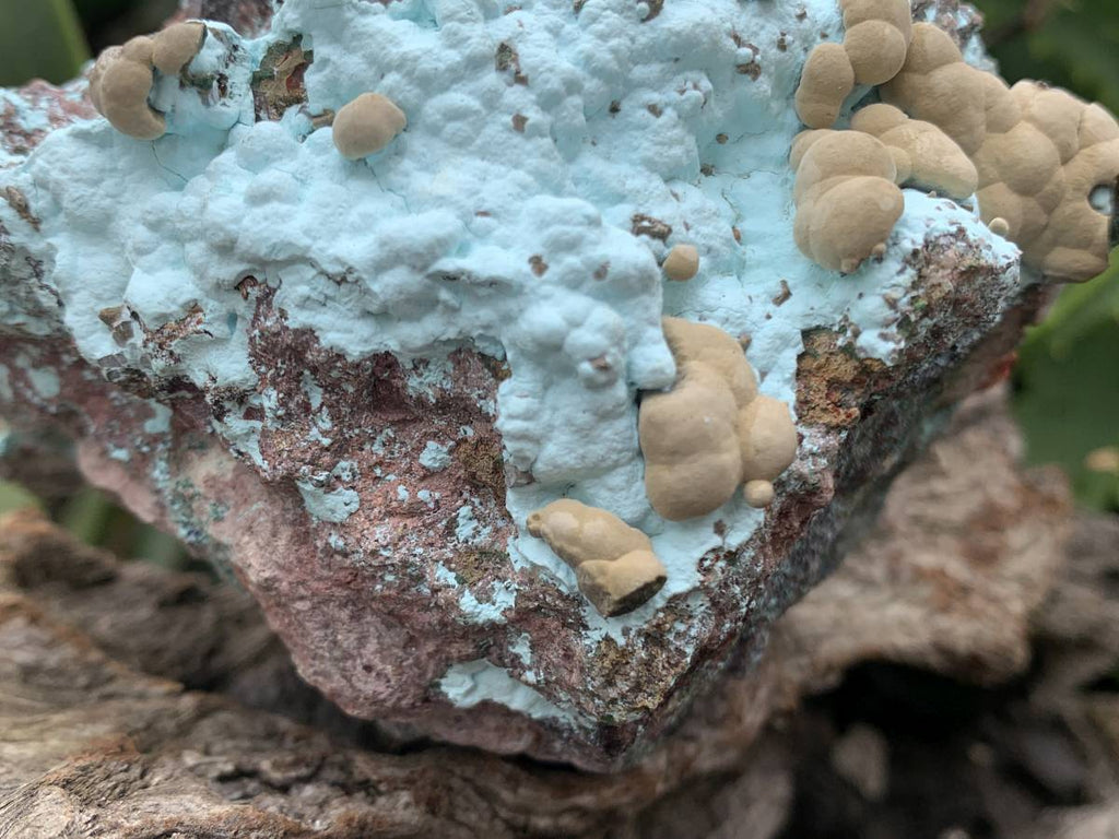 Natural Botryoidal Kolwezite Pseudomorph after Malachite on Chrysocolla Coated Cobaltion Calcite x 1 From Congo