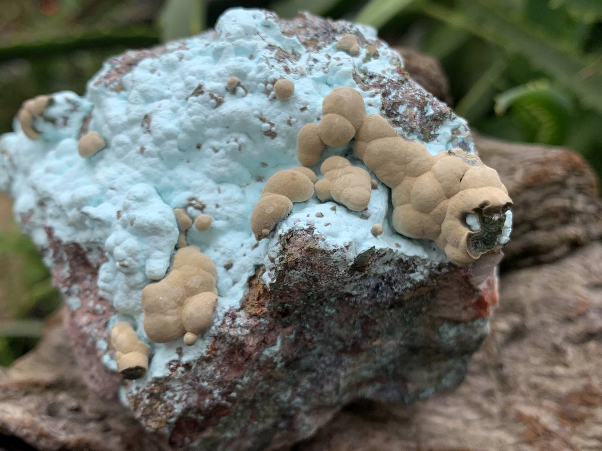 Natural Botryoidal Kolwezite Pseudomorph after Malachite on Chrysocolla Coated Cobaltion Calcite x 1 From Congo