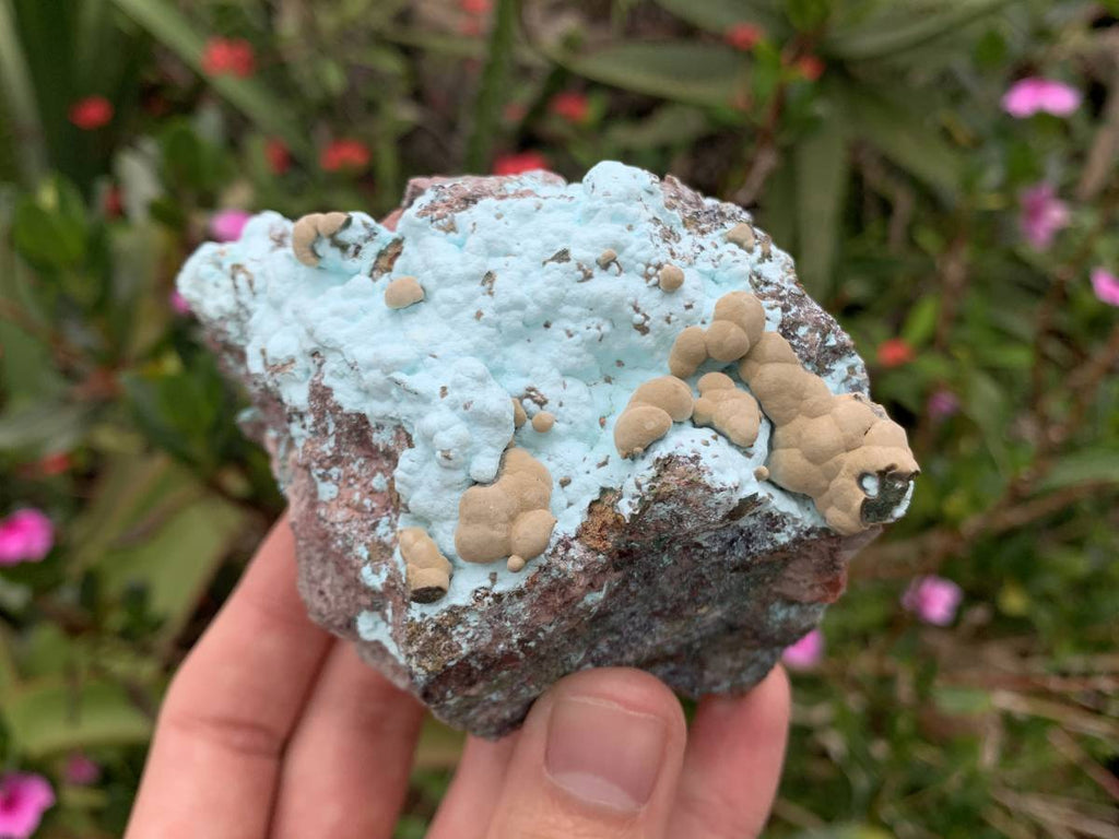 Natural Botryoidal Kolwezite Pseudomorph after Malachite on Chrysocolla Coated Cobaltion Calcite x 1 From Congo
