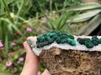 Natural Silky Ball Malachite on Druzy Crystalline Dolomite Matrix Specimen x 1 From Kambove, Congo