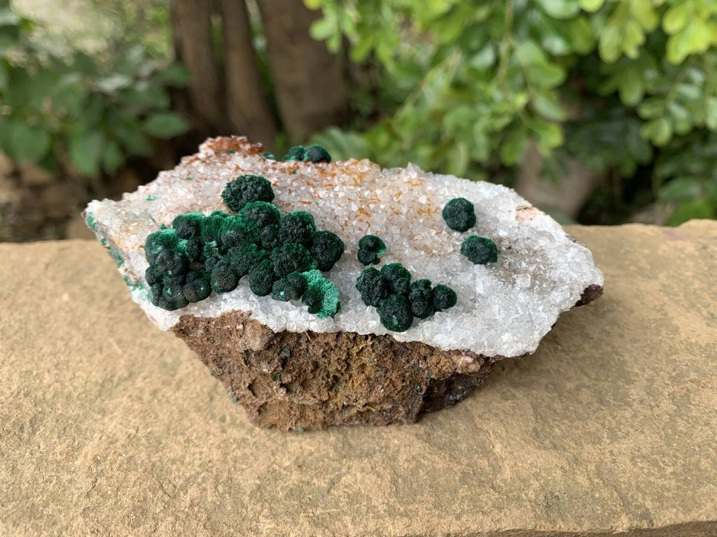 Natural Silky Ball Malachite on Druzy Crystalline Dolomite Matrix Specimen x 1 From Kambove, Congo