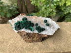 Natural Silky Ball Malachite on Druzy Crystalline Dolomite Matrix Specimen x 1 From Kambove, Congo