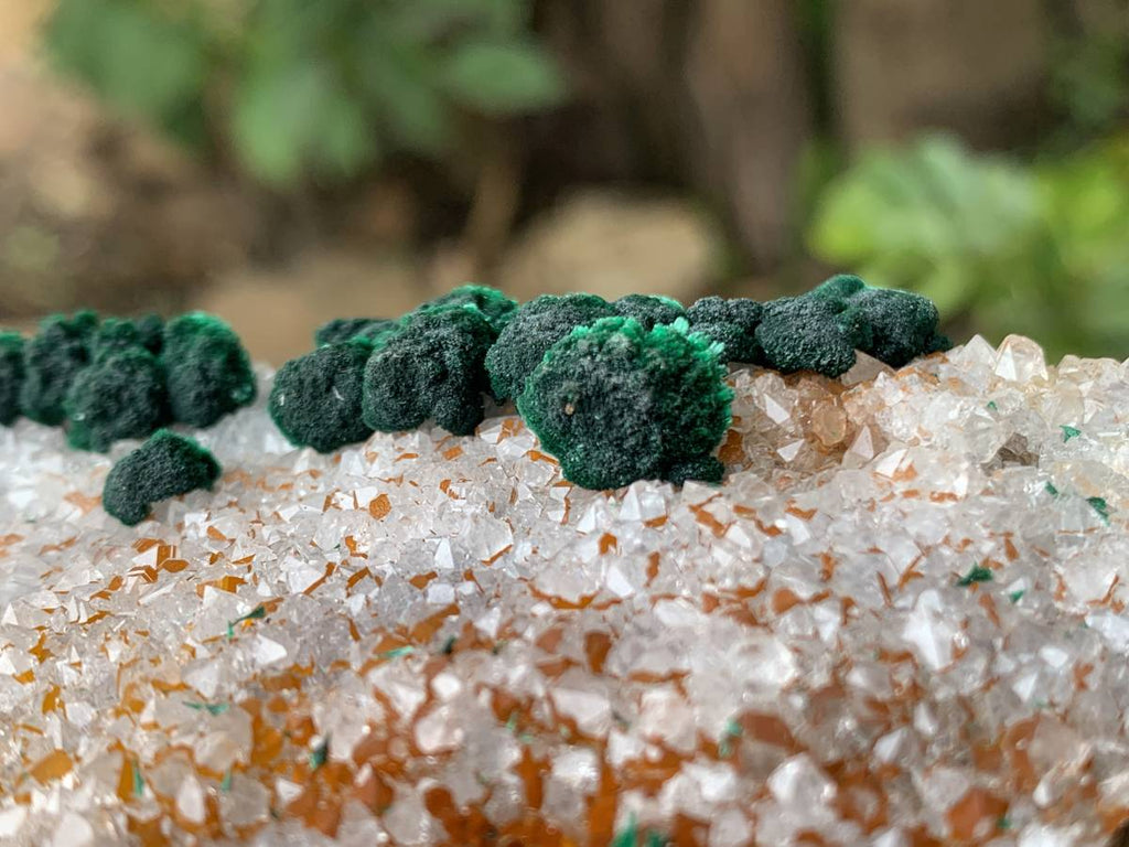 Natural Silky Ball Malachite on Druzy Crystalline Dolomite Matrix Specimen x 1 From Kambove, Congo