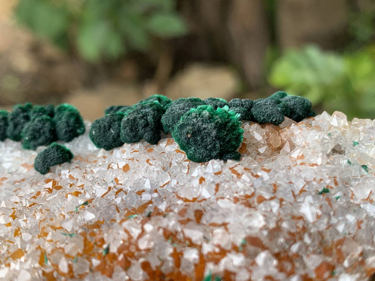 Natural Silky Ball Malachite on Druzy Crystalline Dolomite Matrix Specimen x 1 From Kambove, Congo