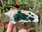 Natural Silky Ball Malachite on Druzy Crystalline Dolomite Matrix Specimen x 1 From Kambove, Congo