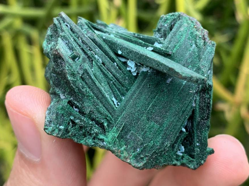 Natural Rare Bladed Malachite after Azurite Pseudomorph Specimen x 1 From Lupoto Mine, Congo
