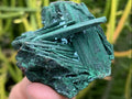 Natural Rare Bladed Malachite after Azurite Pseudomorph Specimen x 1 From Lupoto Mine, Congo