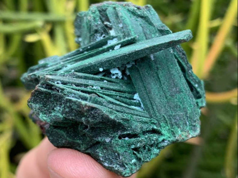 Natural Rare Bladed Malachite after Azurite Pseudomorph Specimen x 1 From Lupoto Mine, Congo