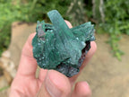 Natural Rare Bladed Malachite after Azurite Pseudomorph Specimen x 1 From Lupoto Mine, Congo