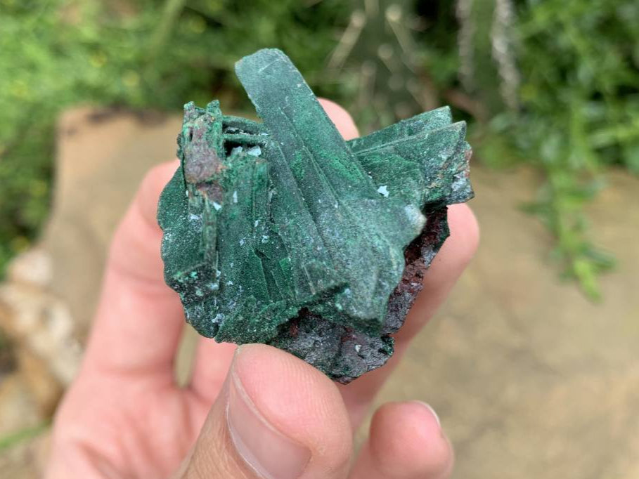 Natural Rare Bladed Malachite after Azurite Pseudomorph Specimen x 1 From Lupoto Mine, Congo