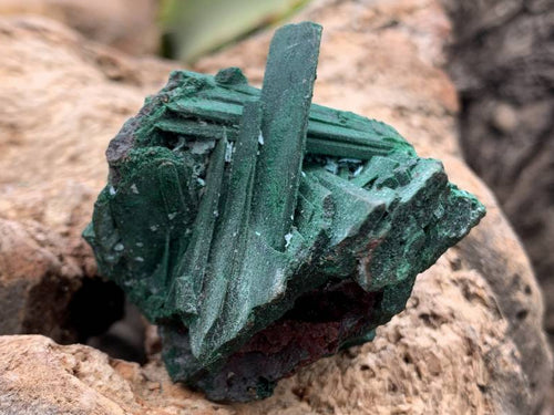Natural Rare Bladed Malachite after Azurite Pseudomorph Specimen x 1 From Lupoto Mine, Congo