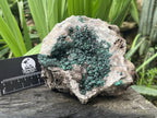 Natural Ball Malachite with Smokey Quartz on Dolomite Matrix Specimen x 1 From Kambove, Congo