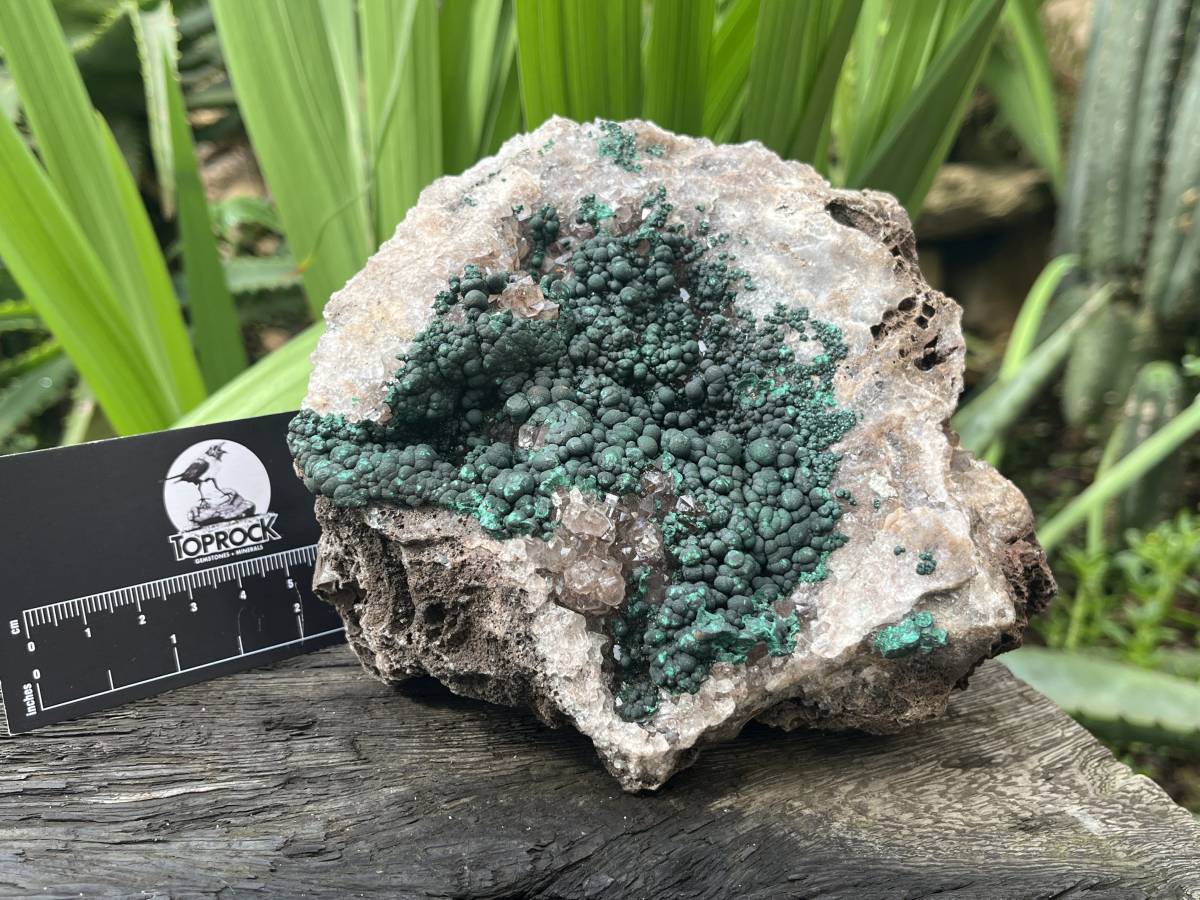 Natural Ball Malachite with Smokey Quartz on Dolomite Matrix Specimen x 1 From Kambove, Congo