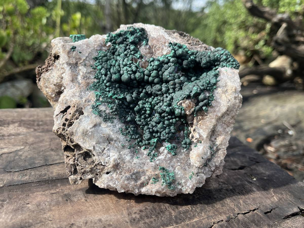 Natural Ball Malachite with Smokey Quartz on Dolomite Matrix Specimen x 1 From Kambove, Congo
