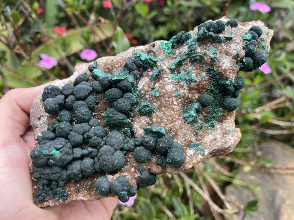 Natural Silky Ball Malachite On Druzy Crystalline Dolomite Matrix Specimen x 1 From Kambove, Congo
