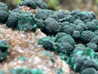 Natural Silky Ball Malachite On Druzy Crystalline Dolomite Matrix Specimen x 1 From Kambove, Congo