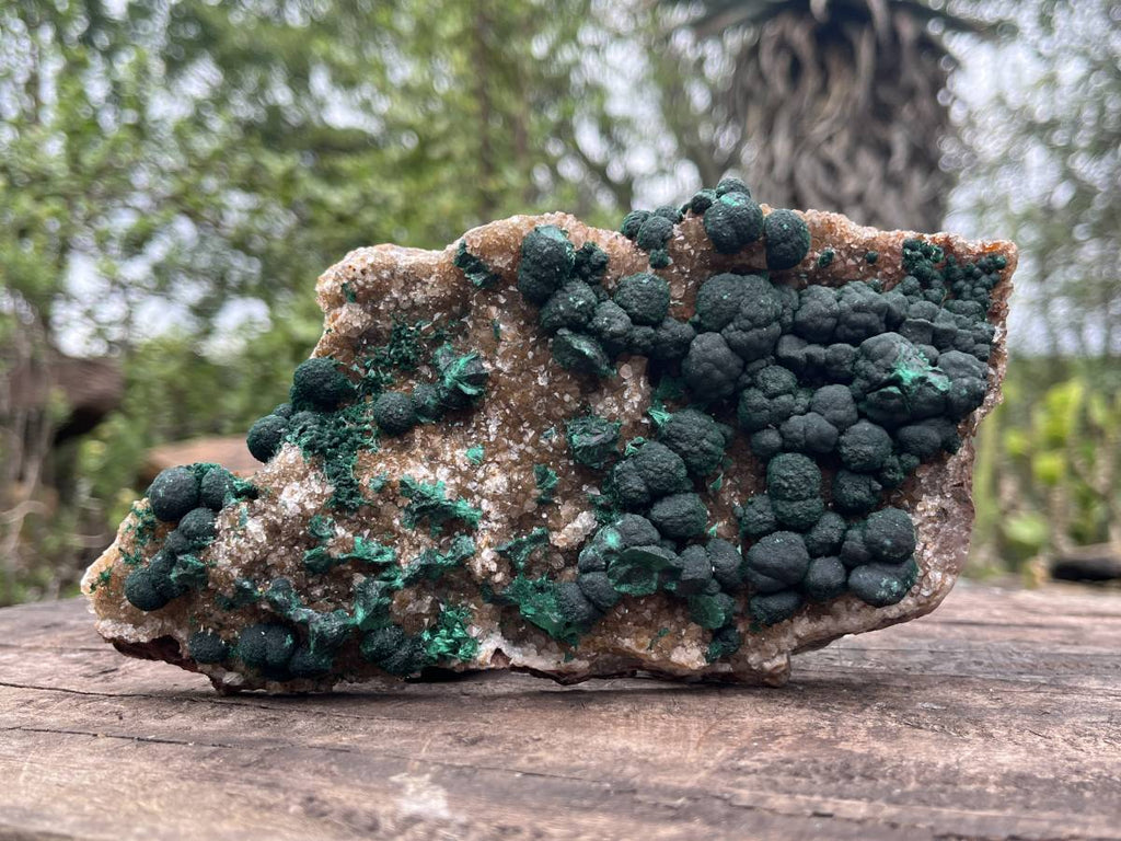 Natural Silky Ball Malachite On Druzy Crystalline Dolomite Matrix Specimen x 1 From Kambove, Congo