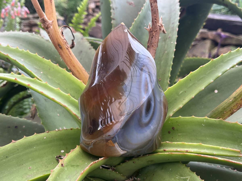 Polished Carnelian and Smokey Blue-Grey Banded Agate Flame x 1 From Madagascar