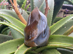Polished Carnelian and Smokey Blue-Grey Banded Agate Flame x 1 From Madagascar