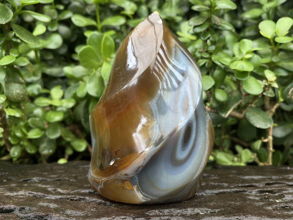 Polished Carnelian and Smokey Blue-Grey Banded Agate Flame x 1 From Madagascar