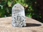 Polished Rare Quartz Crystal with Inclusions x 1 From Madagascar