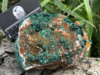Natural Silky Ball Malachite On Druzy Crystalline Dolomite Matrix Specimen x 1 From Kambove, Congo