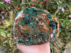 Natural Silky Ball Malachite On Druzy Crystalline Dolomite Matrix Specimen x 1 From Kambove, Congo