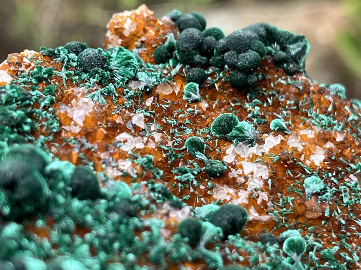Natural Silky Ball Malachite On Druzy Crystalline Dolomite Matrix Specimen x 1 From Kambove, Congo