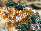 Natural Silky Ball Malachite On Druzy Crystalline Dolomite Matrix Specimen x 1 From Kambove, Congo