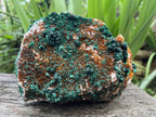 Natural Silky Ball Malachite On Druzy Crystalline Dolomite Matrix Specimen x 1 From Kambove, Congo