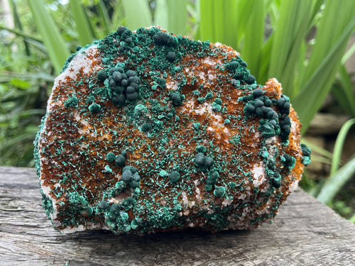 Natural Silky Ball Malachite On Druzy Crystalline Dolomite Matrix Specimen x 1 From Kambove, Congo