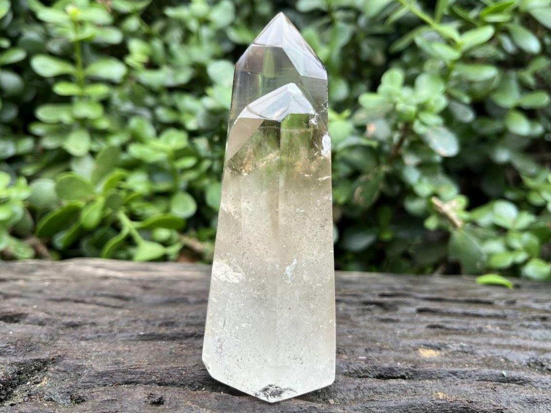 Polished Twin Window Smokey Citrine Quartz Crystal x 1 From Anzojorabe, Madagascar