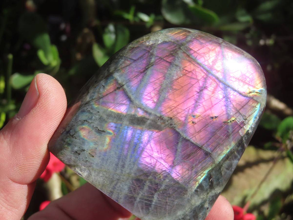 Polished Rare Purple Labradorite Standing Free Form x 1 From Tulear, Madagascar