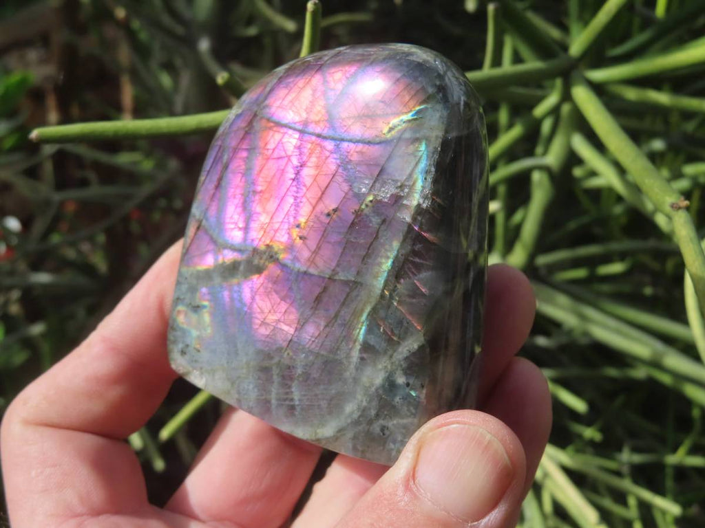 Polished Rare Purple Labradorite Standing Free Form x 1 From Tulear, Madagascar