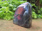 Polished Rare Purple Labradorite Standing Free Form x 1 From Tulear, Madagascar